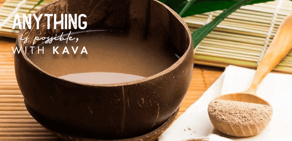 Green Turtle Kava Bar | St Augustines Kava & Tea Bar Near Me