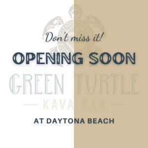 Green Turtle Kava Bar - Daytona Beach Grand Opening