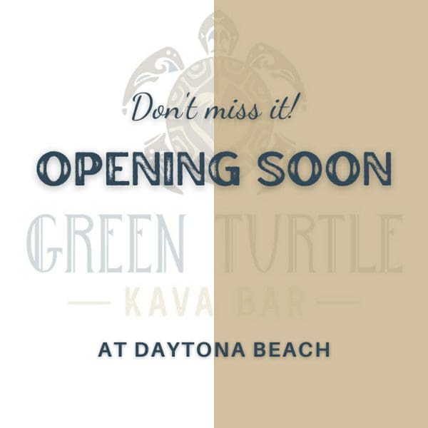 Green Turtle Kava Bar - Daytona Beach Grand Opening