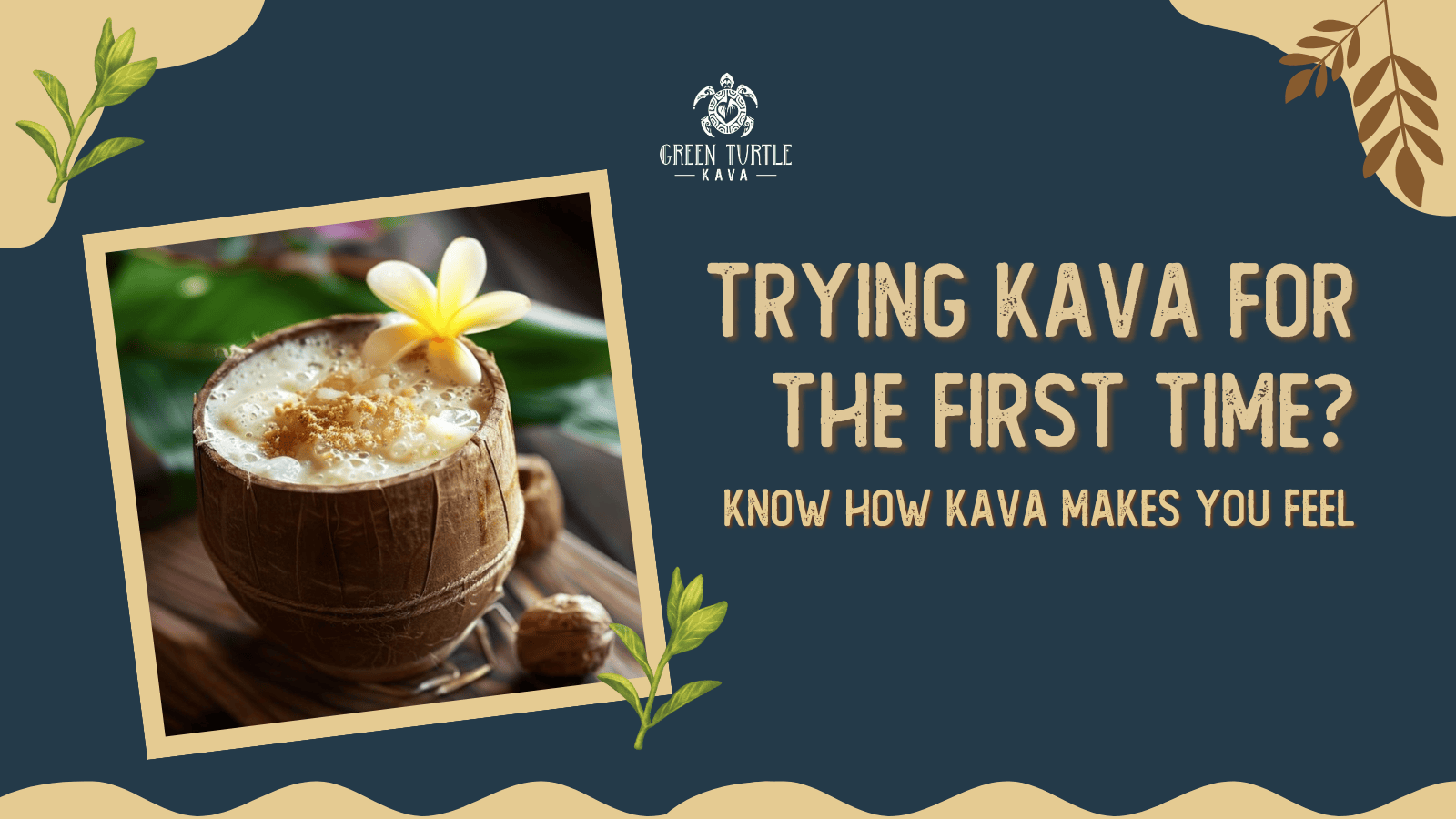 Trying Kava for the First Time? Know How Kava Makes You Feel