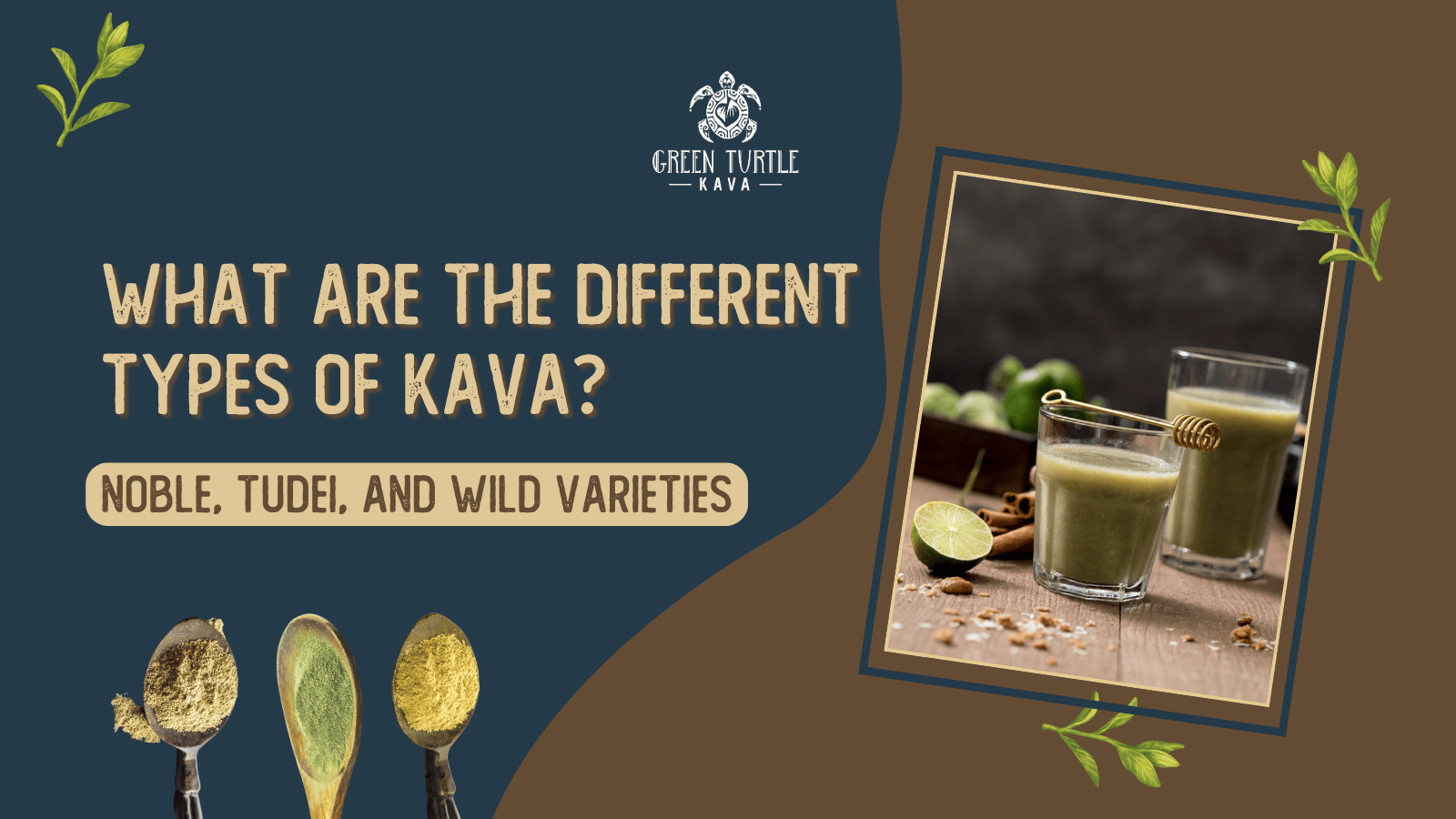 What Are The Different Types of Kava? Noble, Tudei, and Wild Varieties