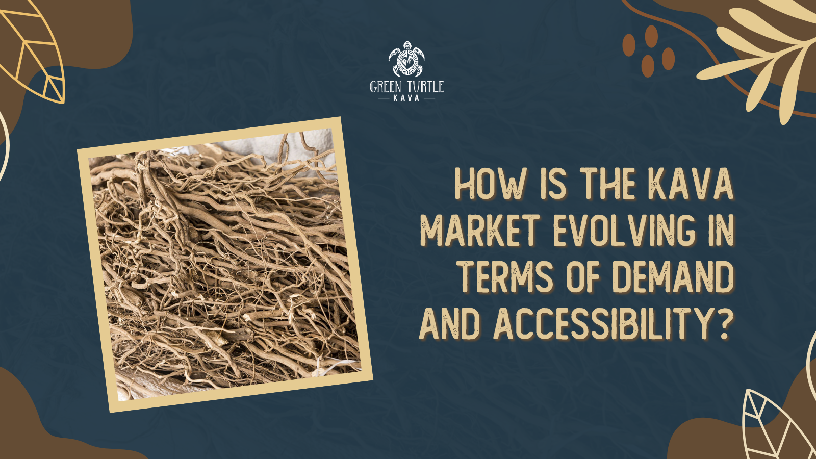 How Is The Kava Market Evolving In Terms Of Demand And Accessibility?